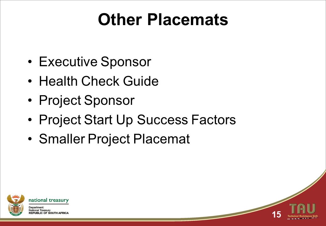 15 Other Placemats Executive Sponsor Health Check Guide Project Sponsor Project Start Up Success Factors Smaller Project Placemat