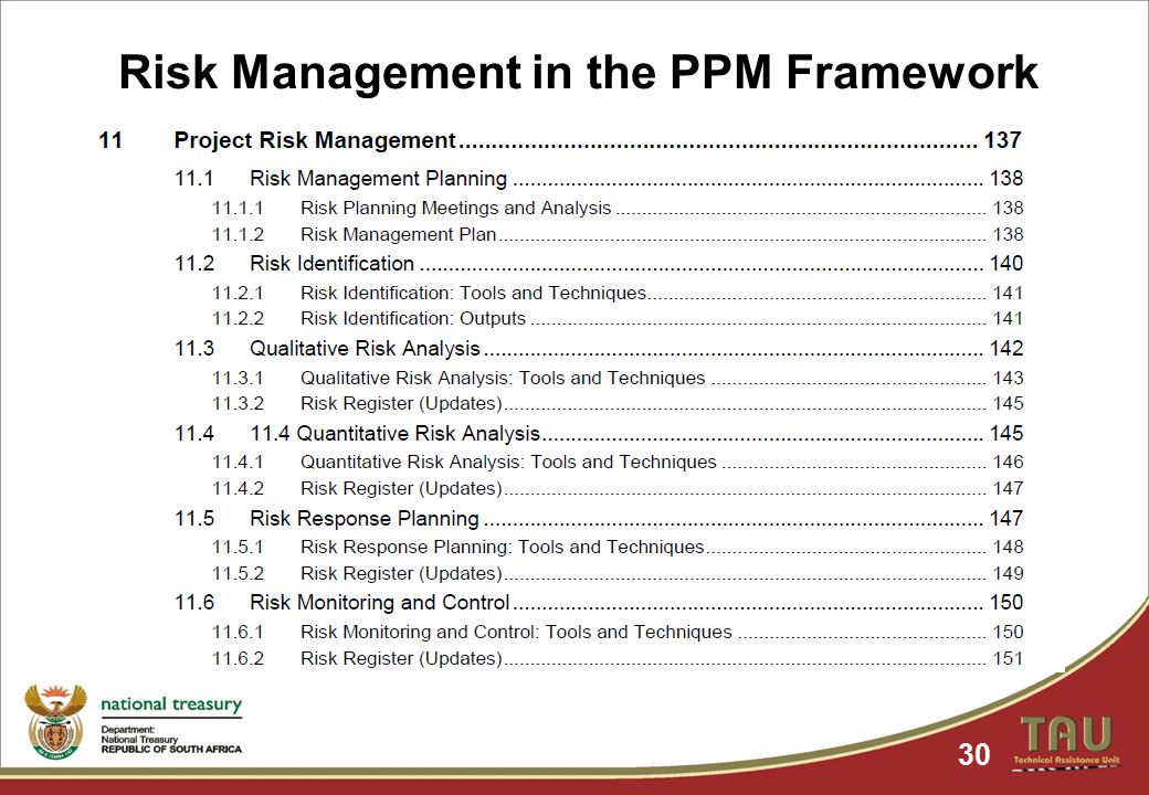 Risk Management in the PPM Framework 30
