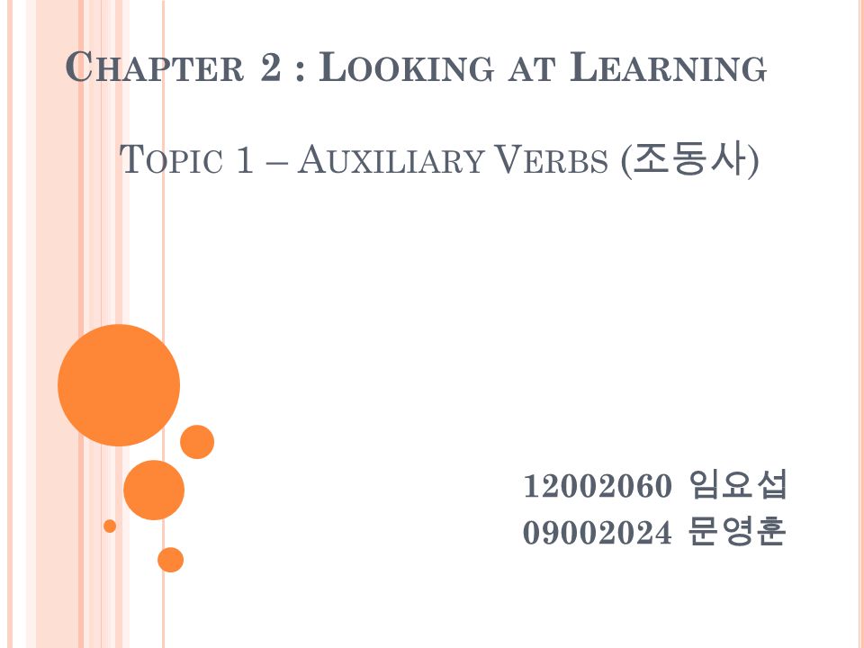 C HAPTER 2 : L OOKING AT L EARNING T OPIC 1 – A UXILIARY V ERBS ( 조동사 ) 임요섭 문영훈