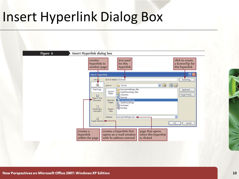 XP New Perspectives on Microsoft Office 2007: Windows XP Edition10 Insert Hyperlink Dialog Box