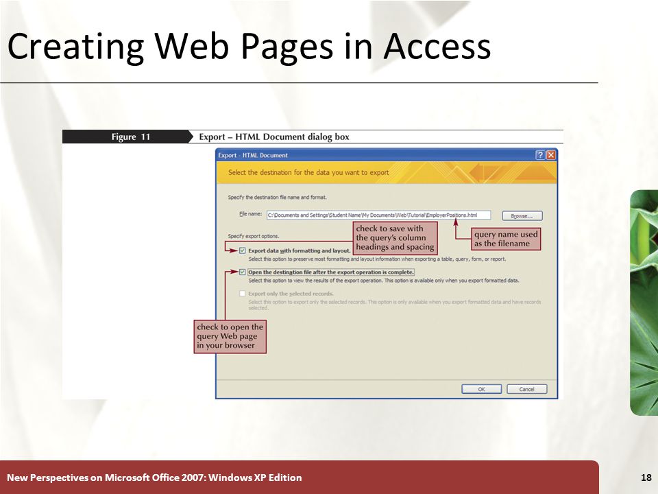 XP New Perspectives on Microsoft Office 2007: Windows XP Edition18 Creating Web Pages in Access