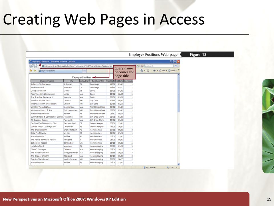 XP New Perspectives on Microsoft Office 2007: Windows XP Edition19 Creating Web Pages in Access