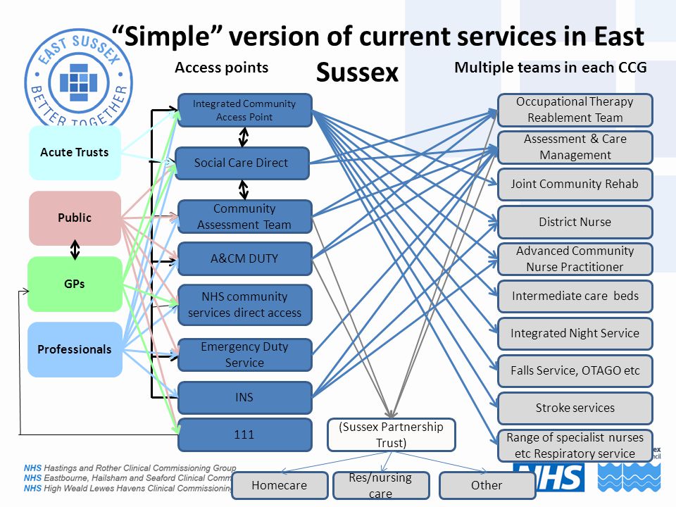 Simple version of current services in East Sussex Integrated Community Access Point Emergency Duty Service 111 (Sussex Partnership Trust) A&CM DUTY NHS community services direct access Social Care Direct Community Assessment Team Stroke services Falls Service, OTAGO etc Advanced Community Nurse Practitioner District Nurse Joint Community Rehab Assessment & Care Management Occupational Therapy Reablement Team Intermediate care beds Integrated Night Service Access pointsMultiple teams in each CCG Homecare Res/nursing care Other Public Professionals Range of specialist nurses etc Respiratory service INS GPs Acute Trusts