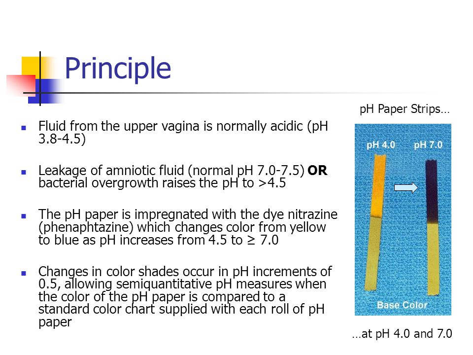 normal vaginal ph Kate major nude