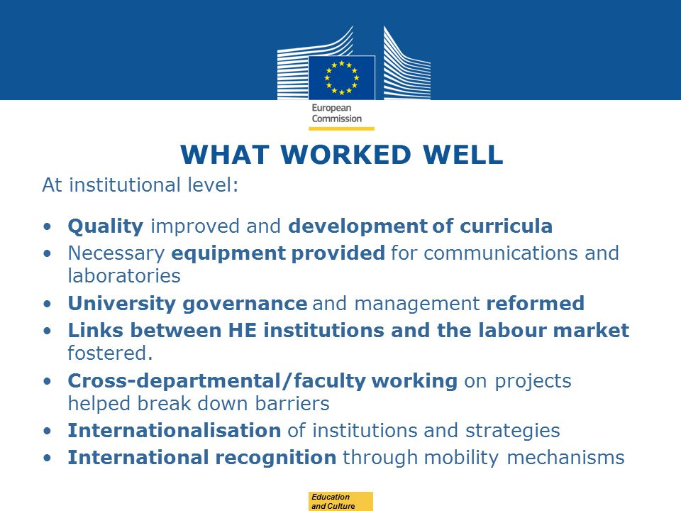 WHAT WORKED WELL At institutional level: Quality improved and development of curricula Necessary equipment provided for communications and laboratories University governance and management reformed Links between HE institutions and the labour market fostered.