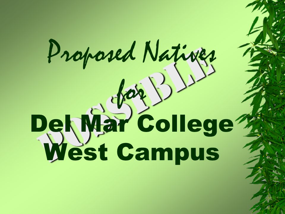 POSSIBLE Proposed Natives for Del Mar College West Campus