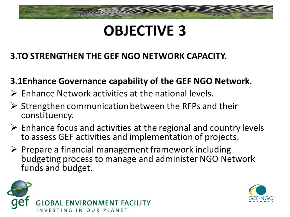 OBJECTIVE 3 3.TO STRENGTHEN THE GEF NGO NETWORK CAPACITY.