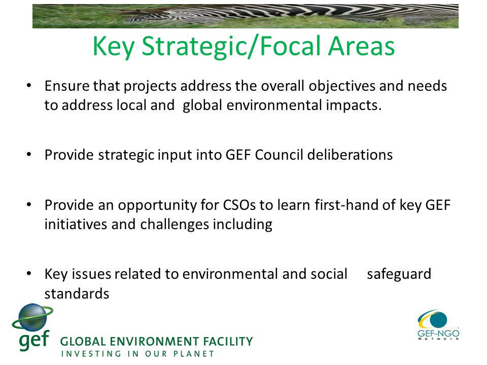 Key Strategic/Focal Areas Ensure that projects address the overall objectives and needs to address local and global environmental impacts.