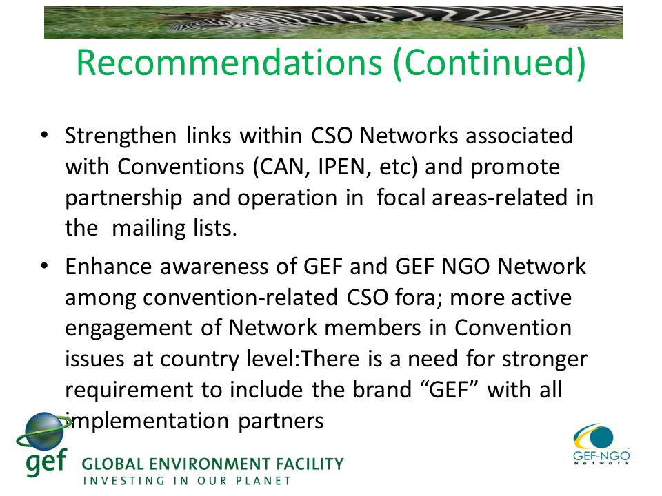 Recommendations (Continued) Strengthen links within CSO Networks associated with Conventions (CAN, IPEN, etc) and promote partnership and operation in focal areas-related in the mailing lists.