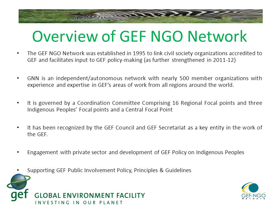 Overview of GEF NGO Network The GEF NGO Network was established in 1995 to link civil society organizations accredited to GEF and facilitates input to GEF policy-making (as further strengthened in ) GNN is an independent/autonomous network with nearly 500 member organizations with experience and expertise in GEF’s areas of work from all regions around the world.