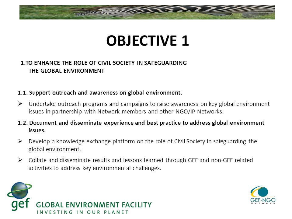 OBJECTIVE 1 1.TO ENHANCE THE ROLE OF CIVIL SOCIETY IN SAFEGUARDING THE GLOBAL ENVIRONMENT 1.1.