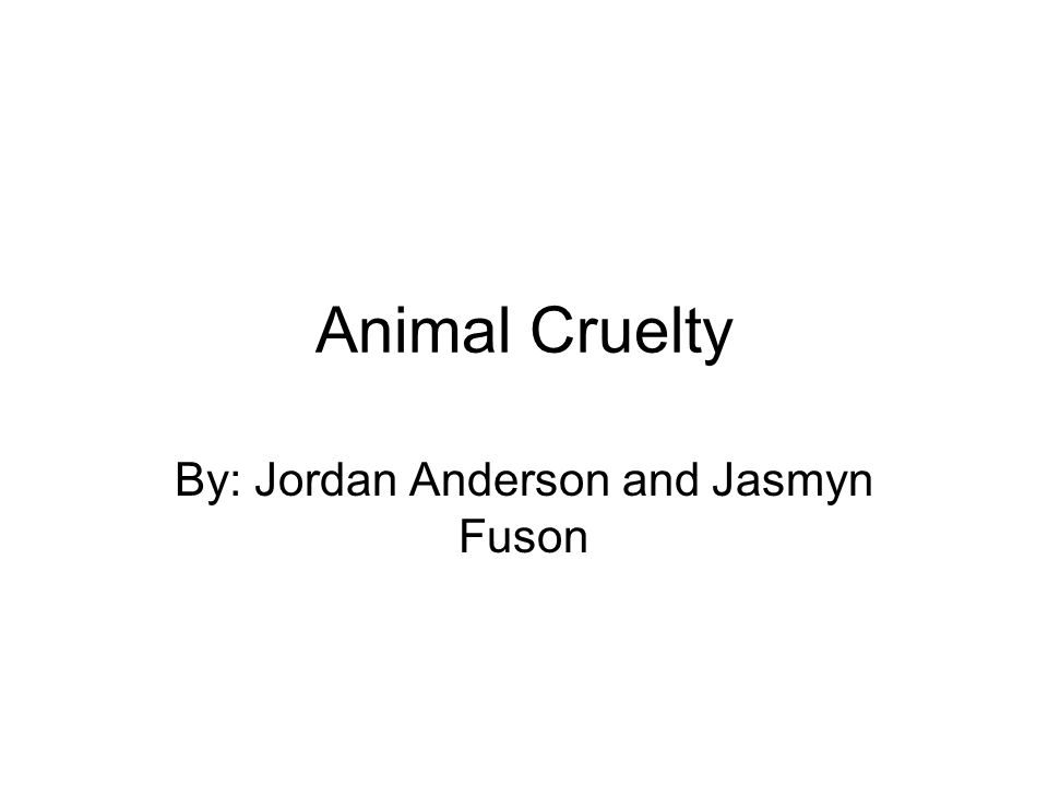 Animal Cruelty By: Jordan Anderson and Jasmyn Fuson