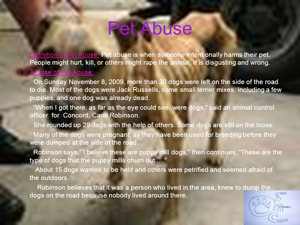 Pet Abuse Definition of Pet Abuse: Pet abuse is when someone intentionally harms their pet.