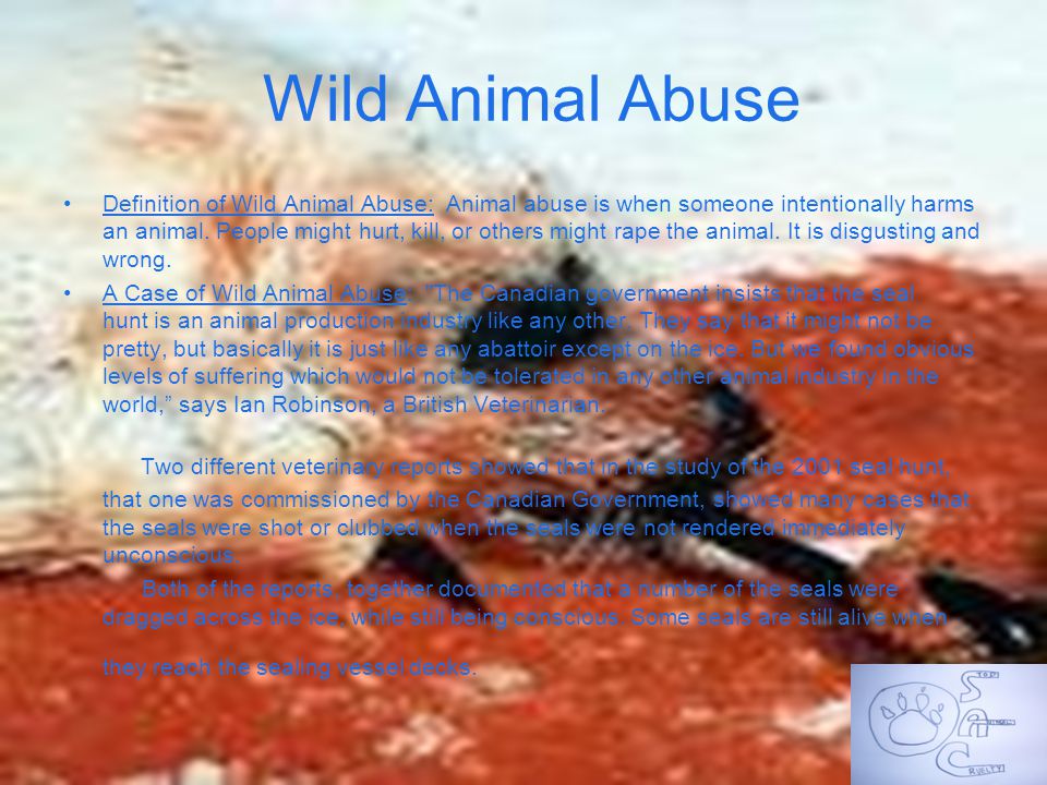 Wild Animal Abuse Definition of Wild Animal Abuse: Animal abuse is when someone intentionally harms an animal.