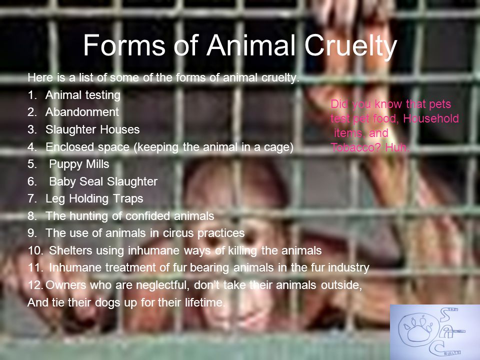 Forms of Animal Cruelty Here is a list of some of the forms of animal cruelty.