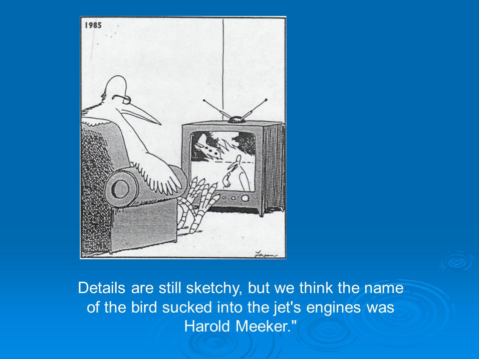 Details are still sketchy, but we think the name of the bird sucked into the jet s engines was Harold Meeker.