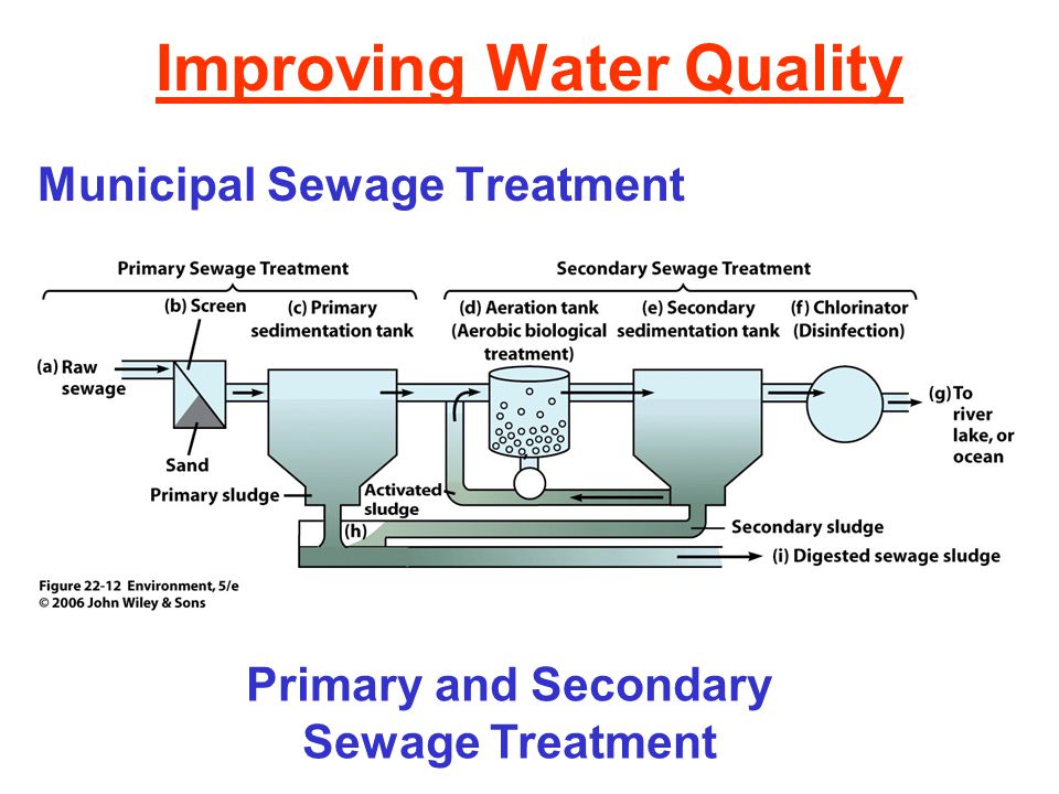 Improving Water Quality Municipal Sewage Treatment Primary and Secondary Sewage Treatment