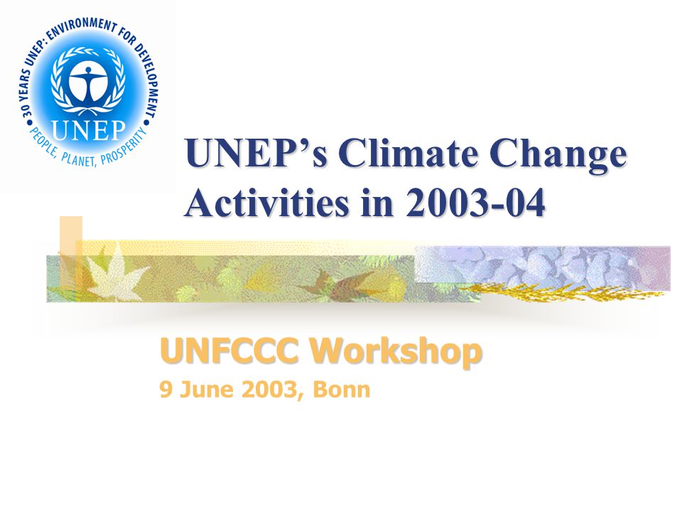 UNEP’s Climate Change Activities in UNFCCC Workshop 9 June 2003, Bonn