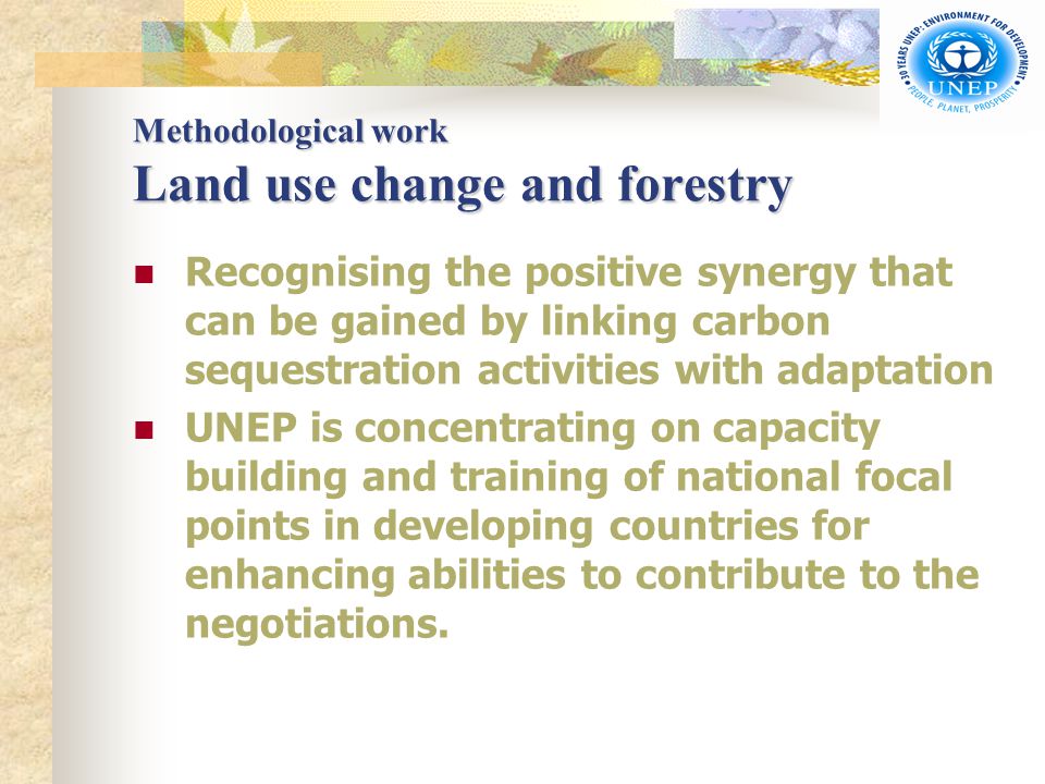 Methodological work Land use change and forestry Recognising the positive synergy that can be gained by linking carbon sequestration activities with adaptation UNEP is concentrating on capacity building and training of national focal points in developing countries for enhancing abilities to contribute to the negotiations.