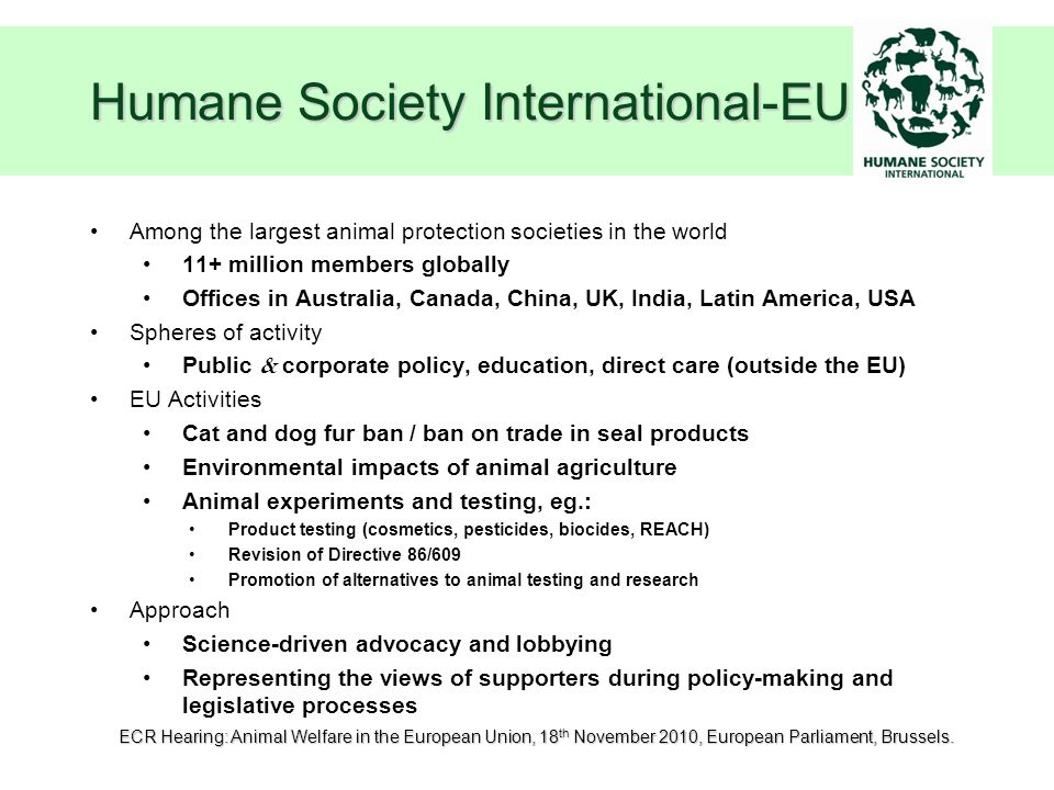 Animal Welfare in the European Union Emily McIvor Senior Advisor, Research  and Toxicology HSI-Europe ECR Hearing: Animal Welfare in the European  Union. - ppt download