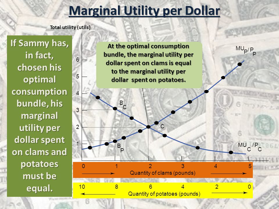 Marginal Utility per Dollar If Sammy has, in fact, chosen his optimal consumption bundle, his marginal utility per dollar spent on clams and potatoes must be equal.