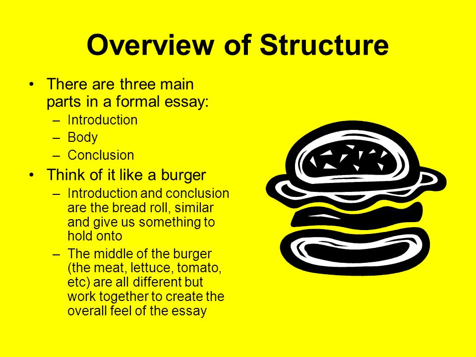 essay writing burger