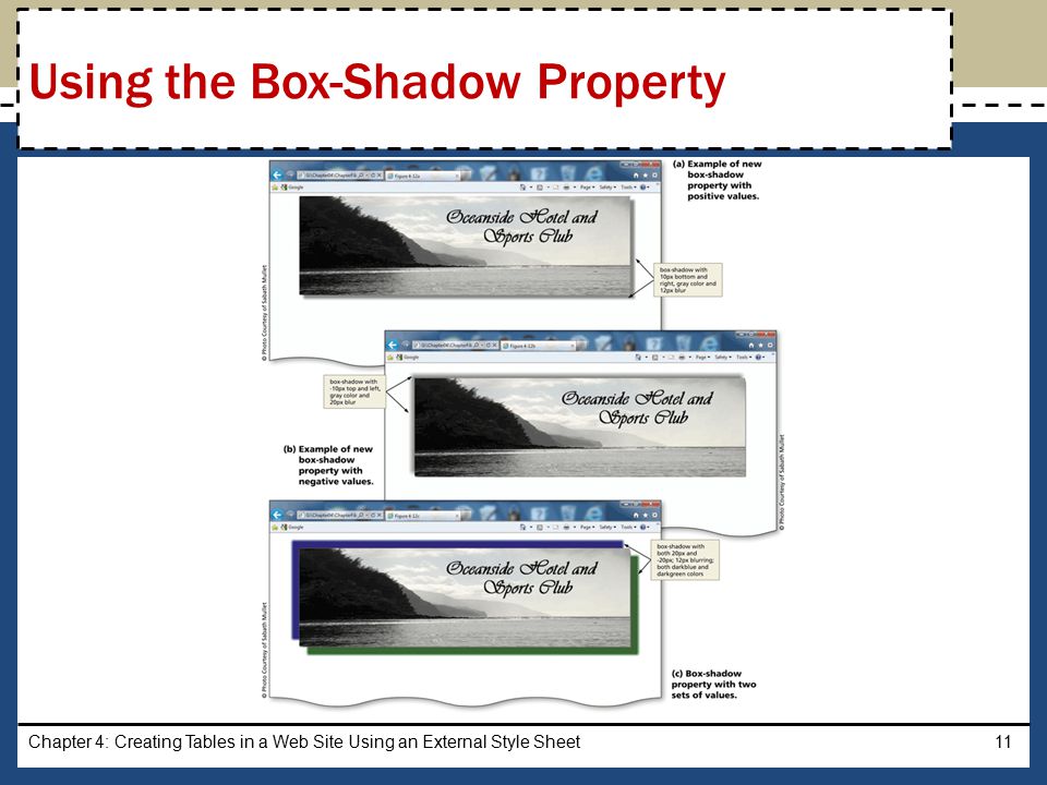 Chapter 4: Creating Tables in a Web Site Using an External Style Sheet11 Using the Box-Shadow Property