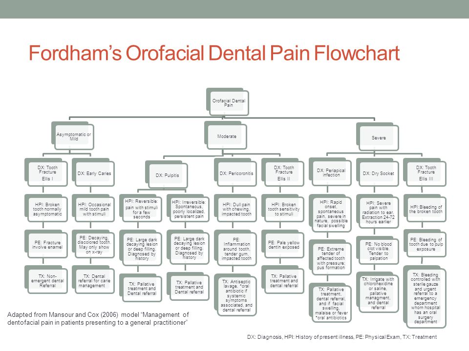 Dental Flow Chart