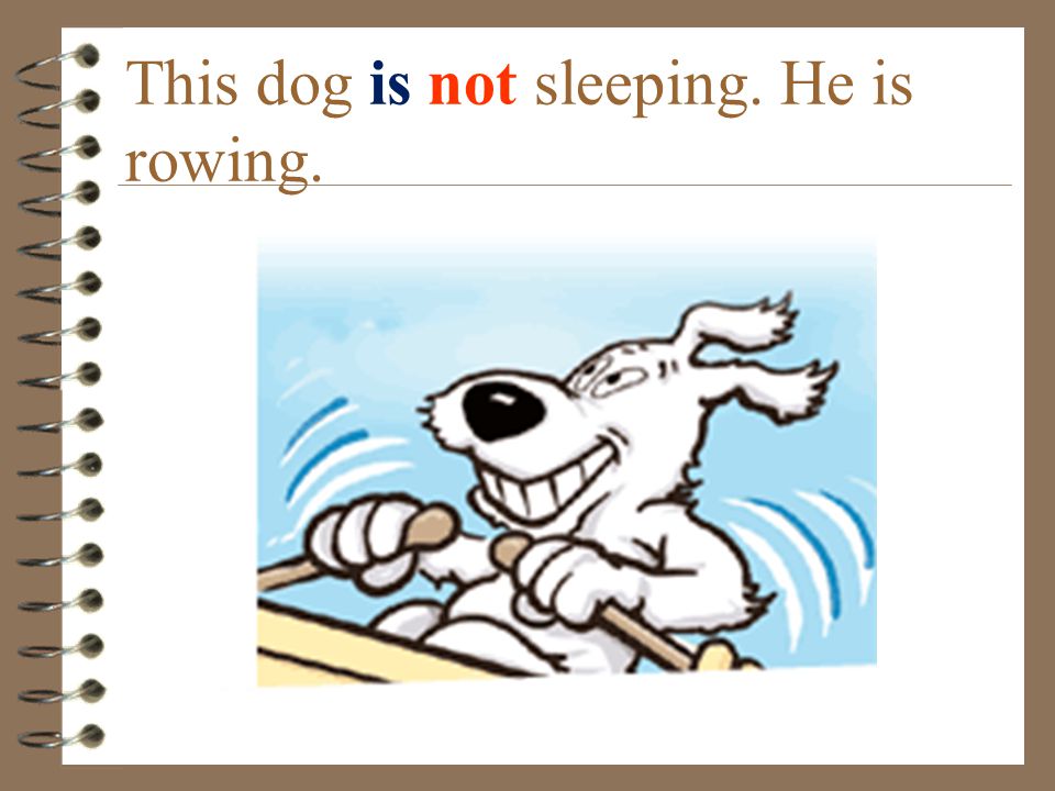 This dog is not sleeping. He is rowing.