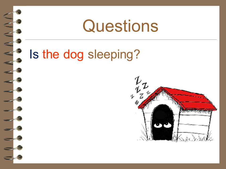 Questions Is the dog sleeping