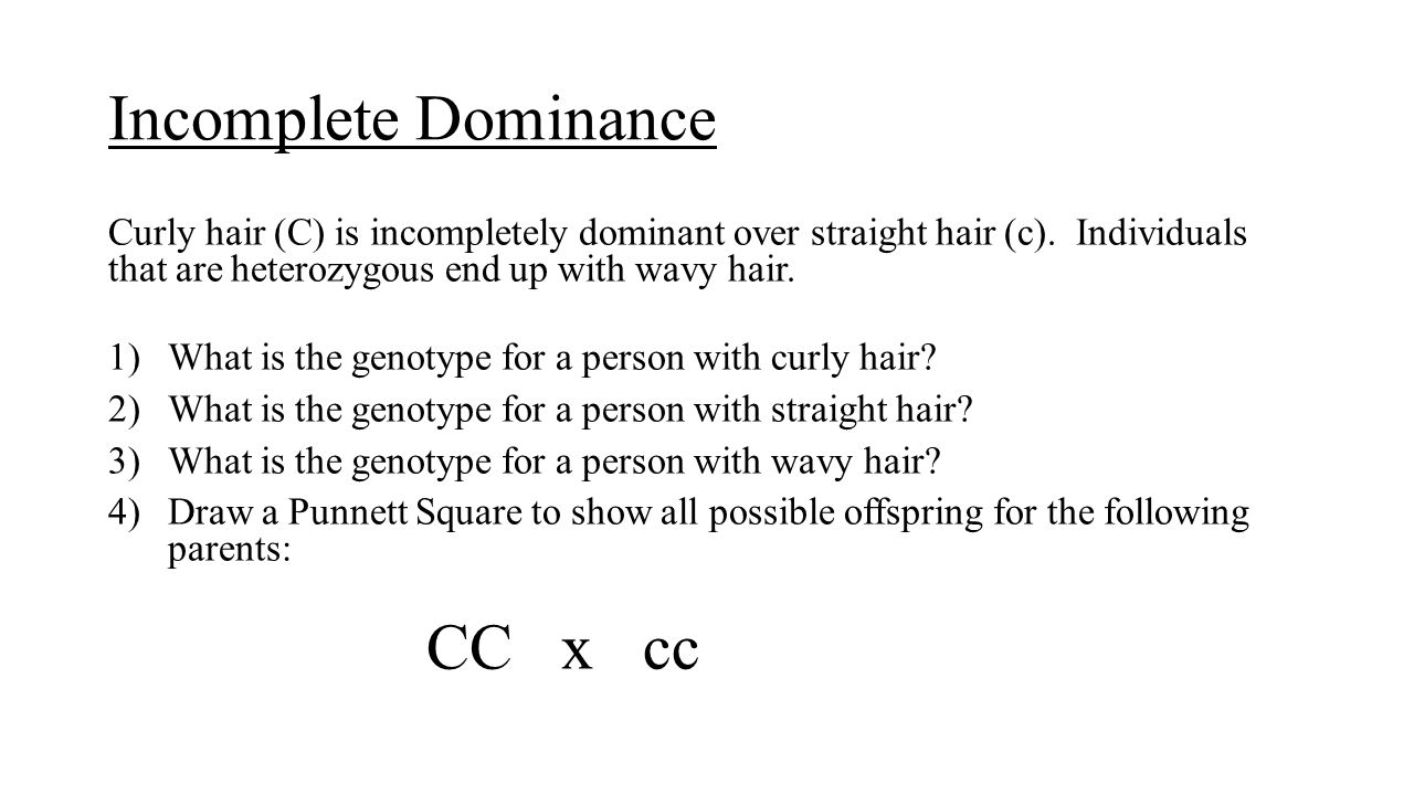 Genetics Problems Review Please Take Out A Blank Piece Of Paper