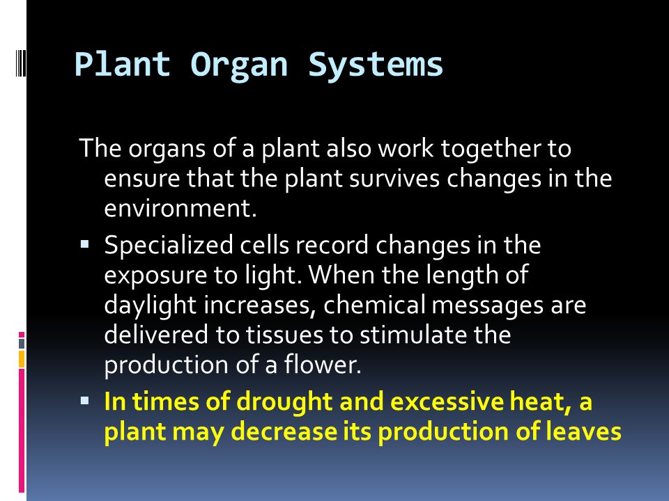 Plant Organ Systems The organs of a plant also work together to ensure that the plant survives changes in the environment.
