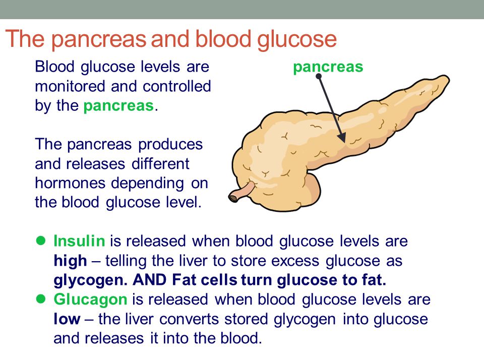 The pancreas and blood glucose Blood glucose levels are monitored and controlled by the pancreas.