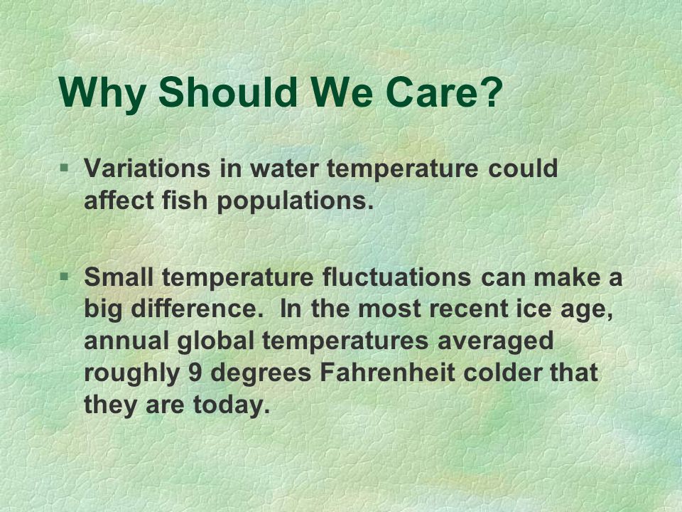 Why Should We Care.  Variations in water temperature could affect fish populations.