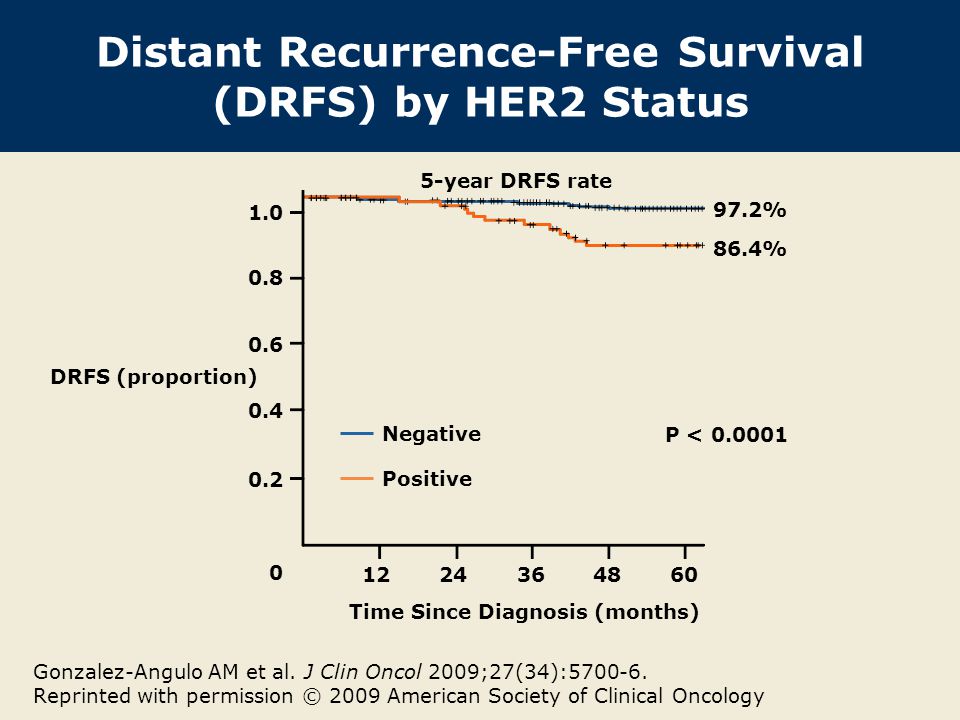 Distant Recurrence-Free Survival (DRFS) by HER2 Status Gonzalez-Angulo AM et al.