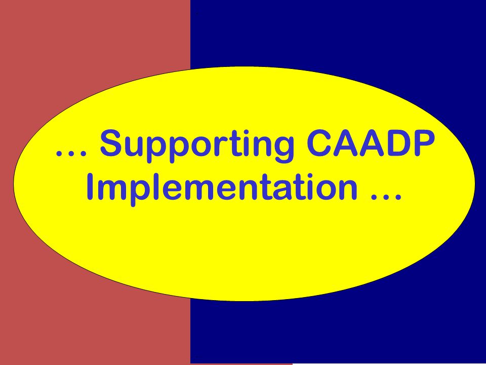 .... … Supporting CAADP Implementation …