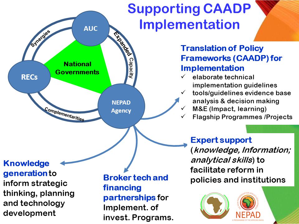 Translation of Policy Frameworks (CAADP) for Implementation elaborate technical implementation guidelines tools/guidelines evidence base analysis & decision making M&E (Impact, learning) Flagship Programmes /Projects Supporting CAADP Implementation National Governments Synergies Expanded Complementarities Capacity Expert support (knowledge, Information; analytical skills) to facilitate reform in policies and institutions Knowledge generation to inform strategic thinking, planning and technology development Broker tech and financing partnerships for Implement.