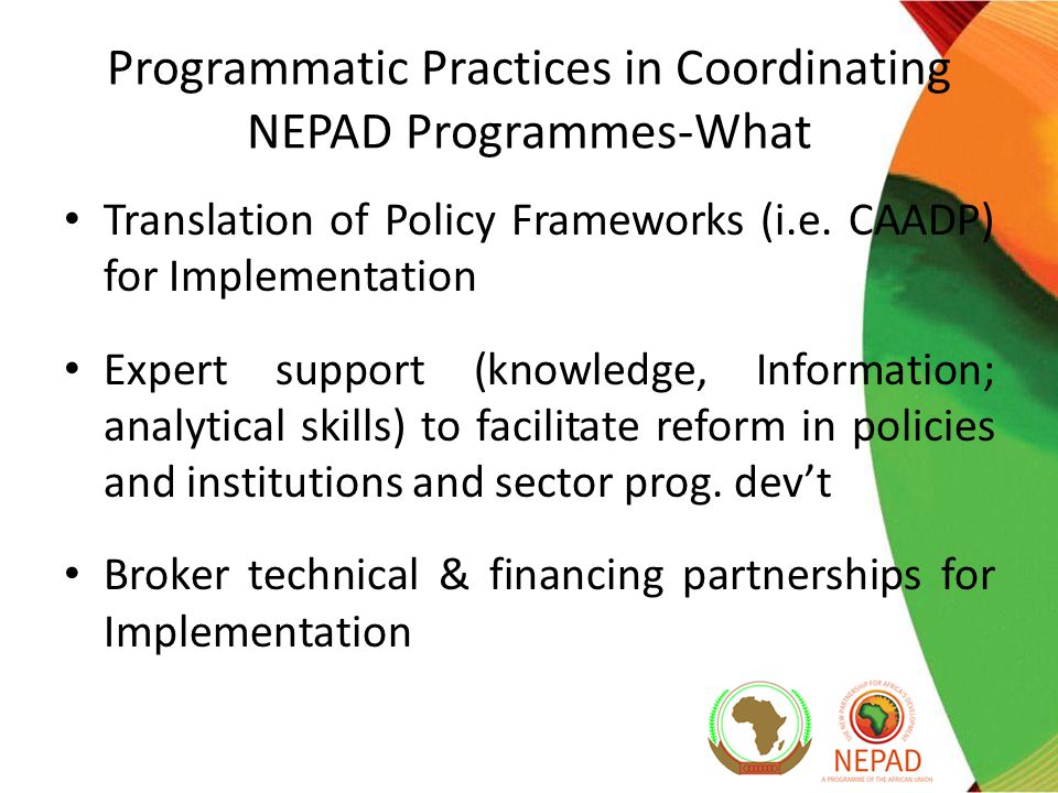 Programmatic Practices in Coordinating NEPAD Programmes-What Translation of Policy Frameworks (i.e.