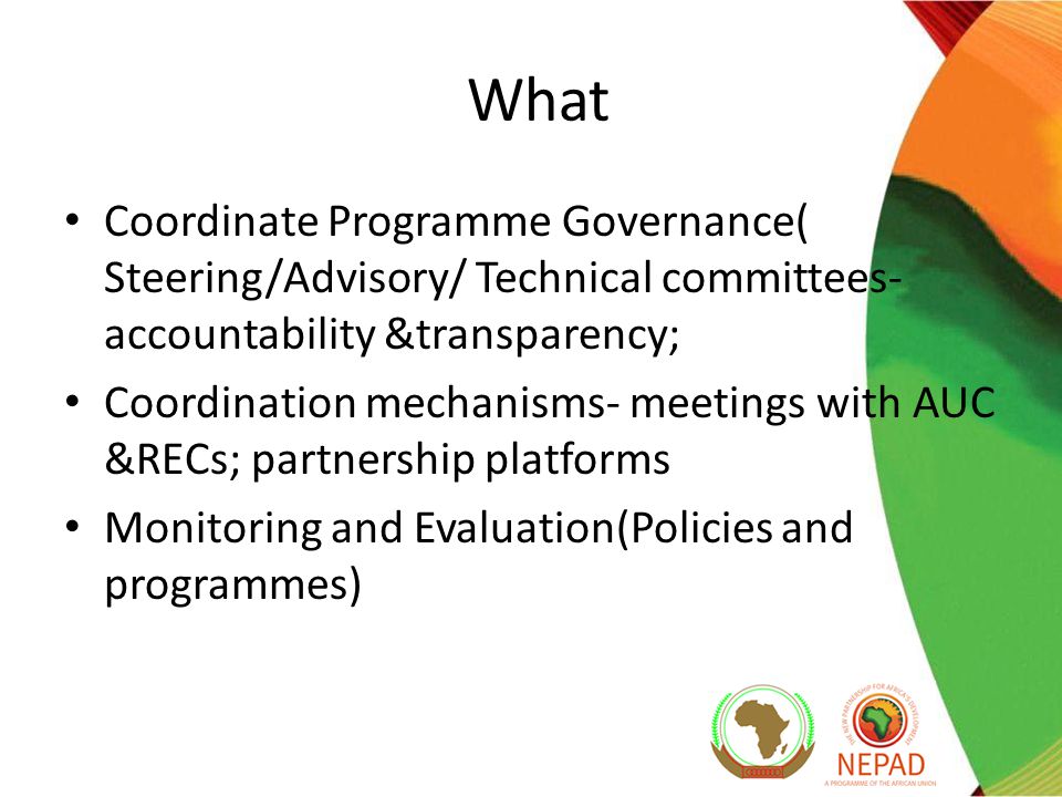 What Coordinate Programme Governance( Steering/Advisory/ Technical committees- accountability &transparency; Coordination mechanisms- meetings with AUC &RECs; partnership platforms Monitoring and Evaluation(Policies and programmes)
