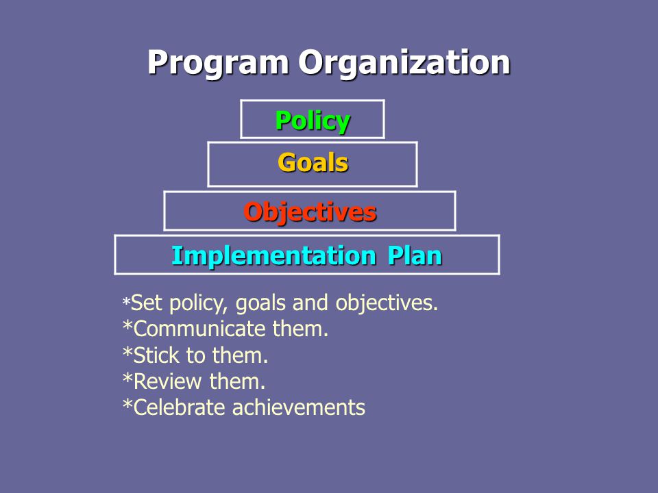 Program Organization Policy Goals Objectives Implementation Plan * Set policy, goals and objectives.