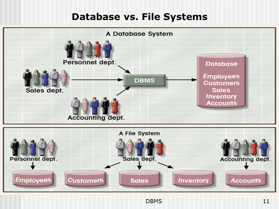DBMS11 Database vs. File Systems