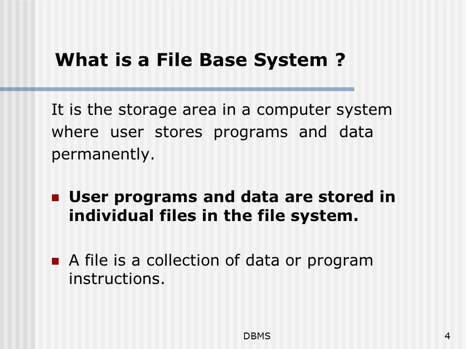 DBMS4 What is a File Base System .