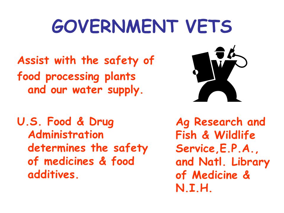 GOVERNMENT VETS Assist with the safety of food processing plants and our water supply.