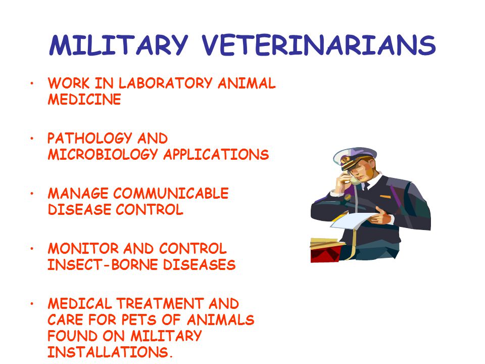 MILITARY VETERINARIANS WORK IN LABORATORY ANIMAL MEDICINE PATHOLOGY AND MICROBIOLOGY APPLICATIONS MANAGE COMMUNICABLE DISEASE CONTROL MONITOR AND CONTROL INSECT-BORNE DISEASES MEDICAL TREATMENT AND CARE FOR PETS OF ANIMALS FOUND ON MILITARY INSTALLATIONS.