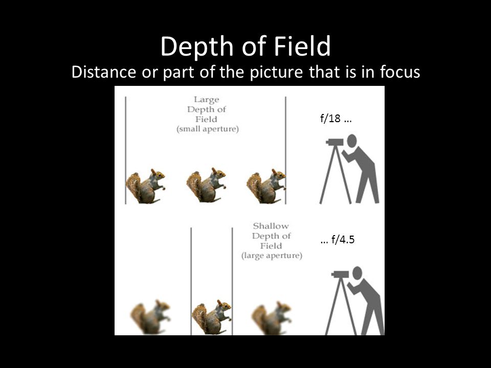 Depth of Field Distance or part of the picture that is in focus f/18 … … f/4.5