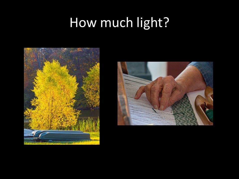 How much light