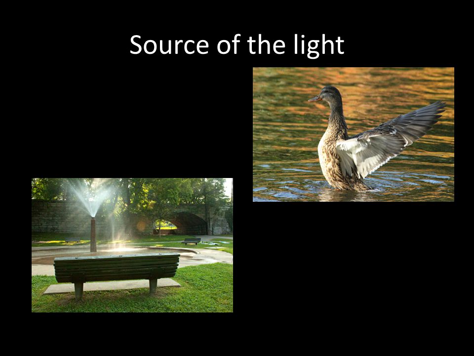 Source of the light