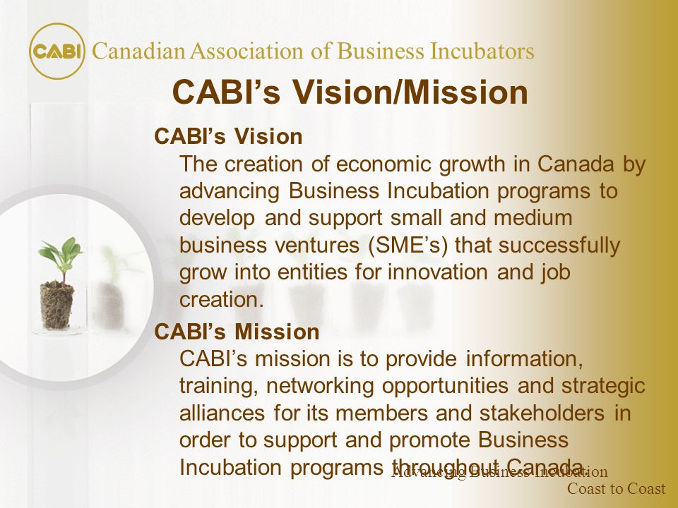 Coast to Coast Canadian Association of Business Incubators Advancing Business Incubation CABI’s Vision/Mission CABI’s Vision The creation of economic growth in Canada by advancing Business Incubation programs to develop and support small and medium business ventures (SME’s) that successfully grow into entities for innovation and job creation.