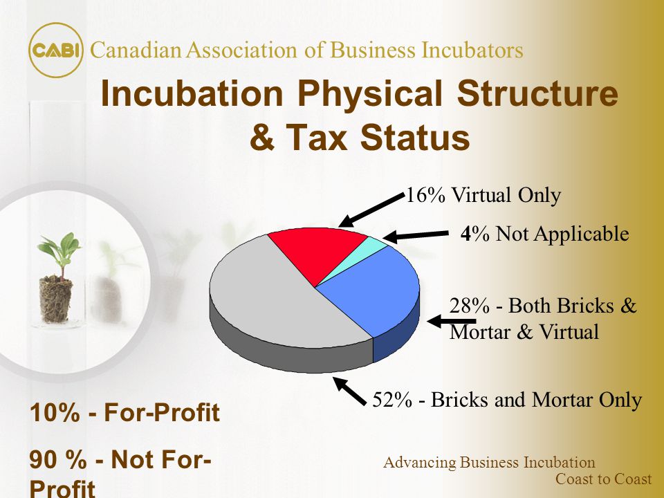 Coast to Coast Canadian Association of Business Incubators Advancing Business Incubation Incubation Physical Structure & Tax Status 16% Virtual Only 4% Not Applicable 28% - Both Bricks & Mortar & Virtual 52% - Bricks and Mortar Only 10% - For-Profit 90 % - Not For- Profit