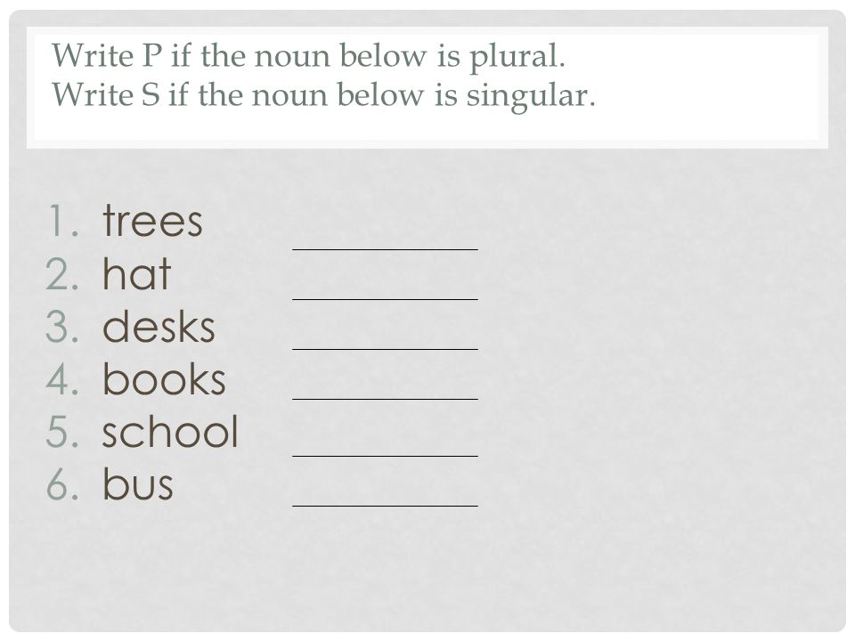 Write P if the noun below is plural. Write S if the noun below is singular.